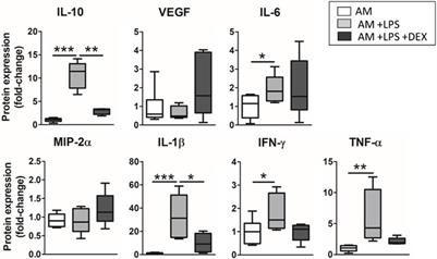 Development of a physiomimetic model of acute respiratory distress syndrome by using ECM hydrogels and organ-on-a-chip devices